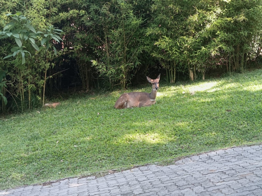 2 Bedroom Property for Sale in Brenton On Lake Western Cape